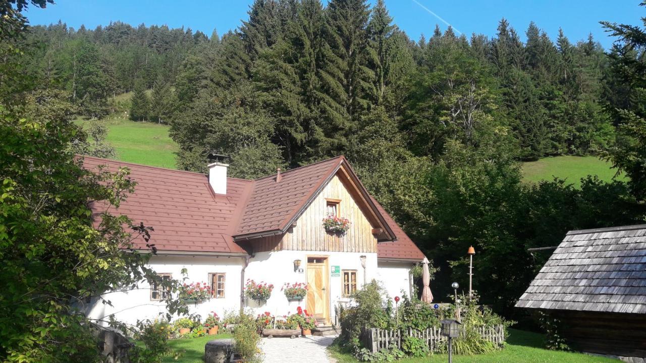 Lenzau Holiday home
